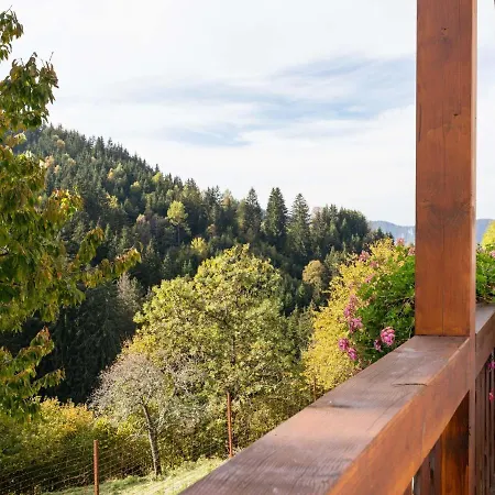 In Carinthia With Sauna Holiday home