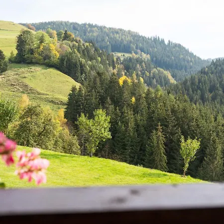 Holiday home In Carinthia With Sauna Eberstein