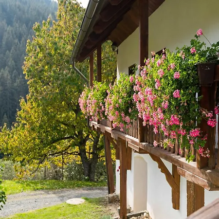 In Near Saualpe Nyaraló *