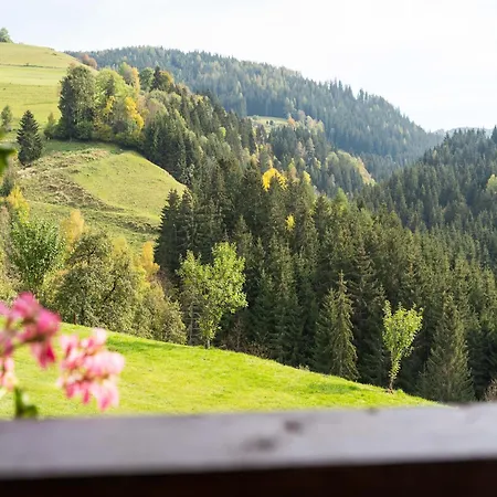 In Near Saualpe * Eberstein