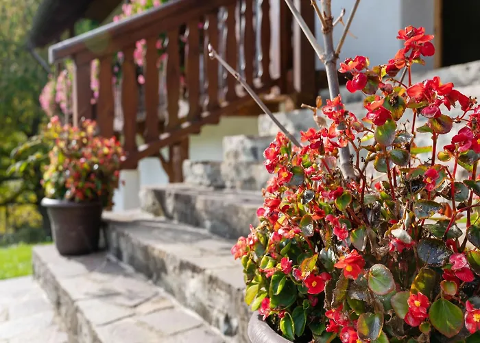 In Near Saualpe * Eberstein