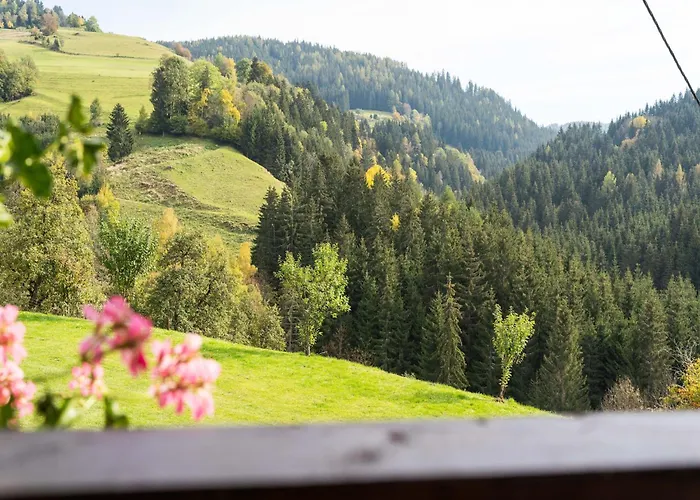 In Near Saualpe * Eberstein